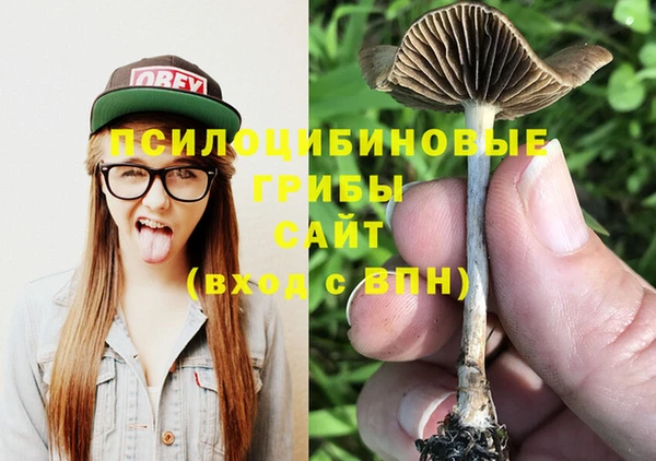 а пвп мука Алексин