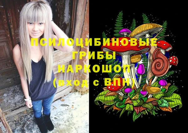 бошки Алексеевка