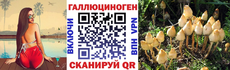 купить наркотики цена  Саров  Псилоцибиновые грибы Psilocybine cubensis 