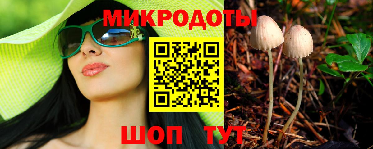 Галлюциногенные грибы Cubensis Саров