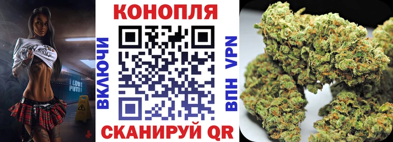 сколько стоит Саров KRAKEN зеркало Каннабис Ganja
